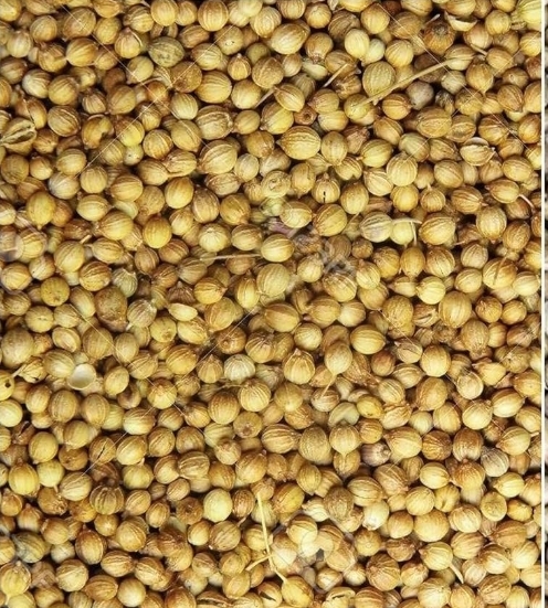 Coriander seeds ( Dhaniyalu ) 100g